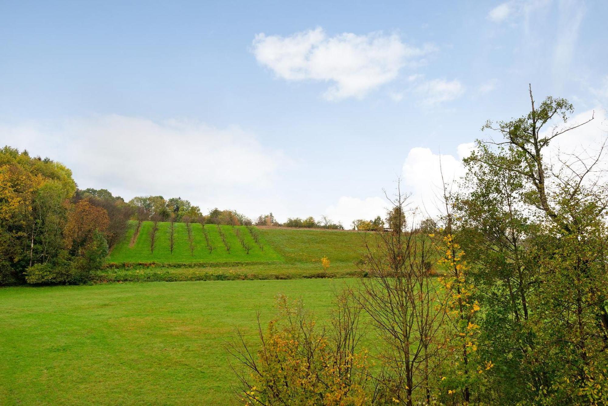 Apartamento Schwarzwaldtani - Doerfle Weier Exterior foto